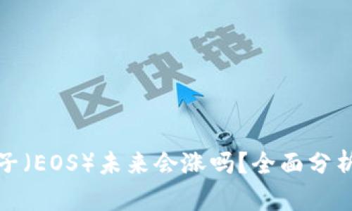 数字货币柚子（EOS）未来会涨吗？全面分析与投资指南