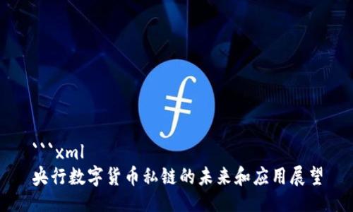 ```xml
央行数字货币私链的未来和应用展望