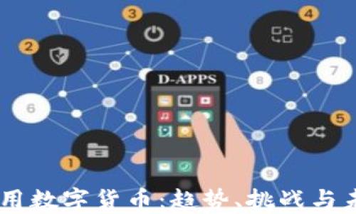 多地试用数字货币:趋势、挑战与未来展望