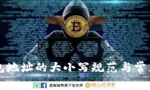 以太坊钱包地址的大小写规范与常见问题解析