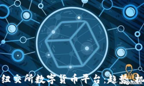 
深度解析纽交所数字货币平台：趋势、机会与挑战