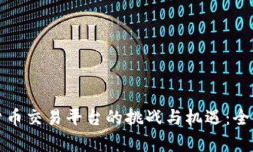 数字货币交易平台的挑战与机遇：全面解析