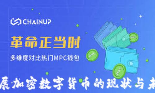 
国家发展加密数字货币的现状与未来趋势