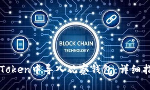 如何在imToken中导入观察钱包：详细指南与技巧