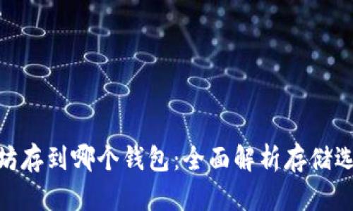 : 挖来的以太坊存到哪个钱包：全面解析存储选择与安全策略