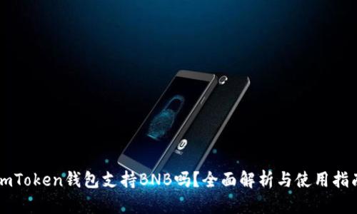 imToken钱包支持BNB吗？全面解析与使用指南