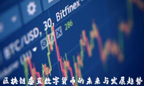 
区块链垂直数字货币的未来与发展趋势