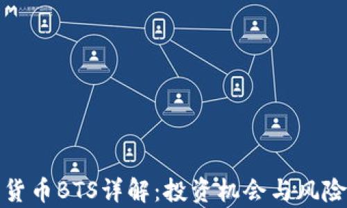 
数字货币BTS详解：投资机会与风险分析